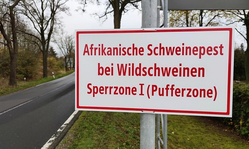 Warnschild Afrikanische Schweinepest (Archiv)