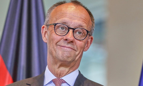 Friedrich Merz (Archiv)