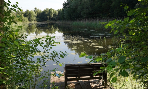 Im See werden hauptsächlich Raubfische geangelt, überwiegend Hecht.