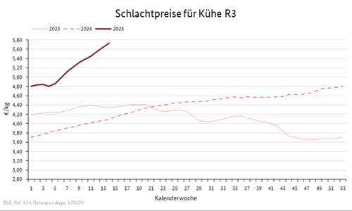 Schlachtpreise für Kühe R3