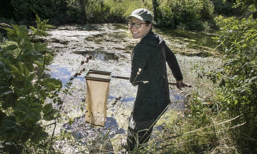 Dr. Diana Goertzen in ihrem Element – dem Wasser. Die Diplom-Biologin der TU Braunschweig untersucht die Gewässergüte in den städtischen Flüssen und Bächen. Der jüngste Bericht zeigt: Den Braunschweiger Fließgewässern geht es gut.