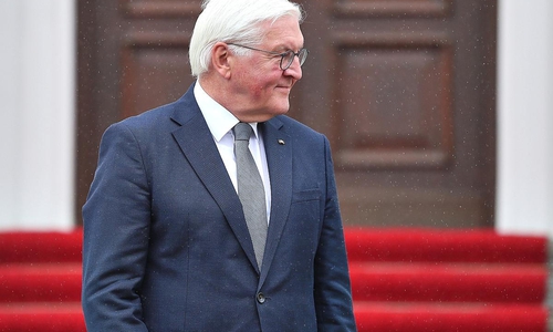 Frank-Walter Steinmeier (Archiv)
