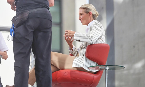 Alice Weidel am 20.07.2025