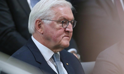 Frank-Walter Steinmeier (Archiv)