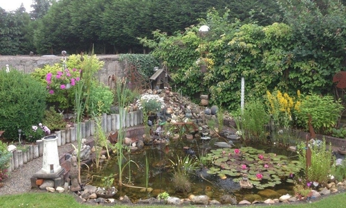 Naturfreunde sind bei der Offenen Pforte Peine auch in den Garten der Familie Radtke eingeladen.