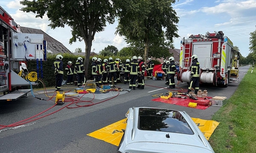 Fahrerin nach Kollision mit Baum aus PKW geschnitten (Archiv)