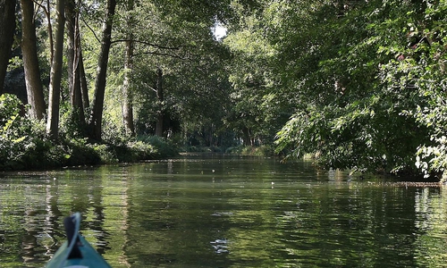 Spreewald (Archiv)