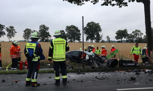 Das Fahrzeug wurde stark beschädigt, der Fahrer eingeklemmt.