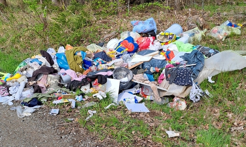 Der Müll wird einfach im Wald abgeladen. 