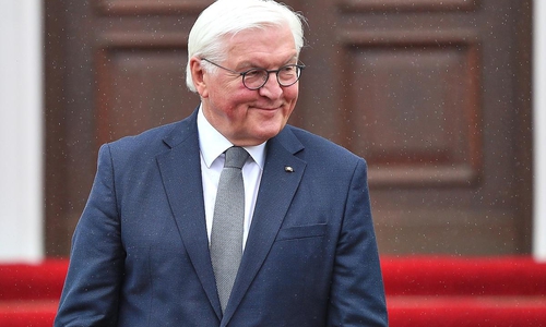 Frank-Walter Steinmeier (Archiv)