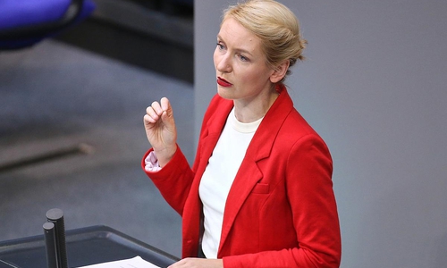 Ines Schwerdtner (Archiv)