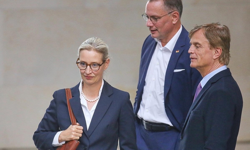 Alice Weidel, Tino Chrupalla und Bernd Baumann (Archiv)