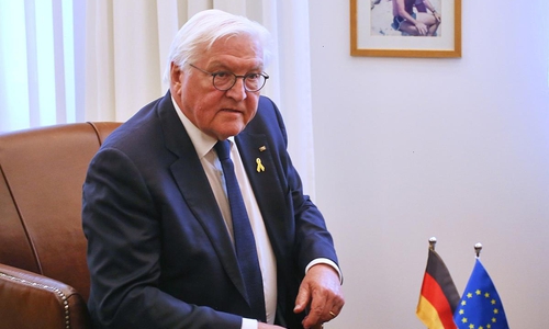 Frank-Walter Steinmeier (Archiv)