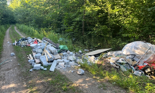 Immer häufiger wird Abfall im Wald entsorgt.