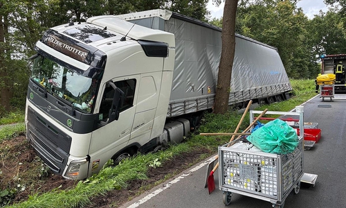 LKW - Heckansicht (Archiv)