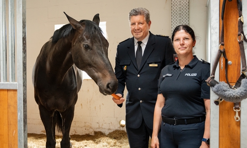 Uwe Lange, Polizeivizepräsident der Polizeidirektion Braunschweig, gemeinsam mit Nadine Seitlinger, Leiterin des Reiterzuges, und Dienstpferd Odin, das für das Foto offenbar mit einer Möhre bestochen werden musste.