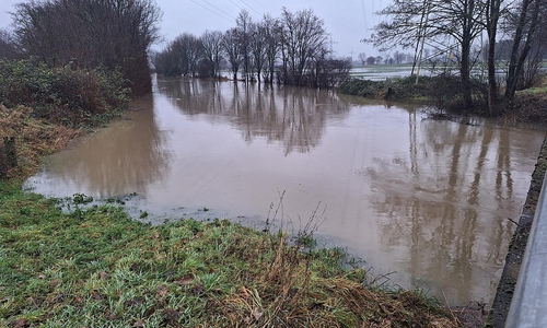 Überschwemmung am Fluss Aue in Niedersachsen