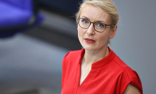 Ines Schwerdtner (Archiv)