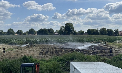 Foto: Sven Janssen (Archiv)