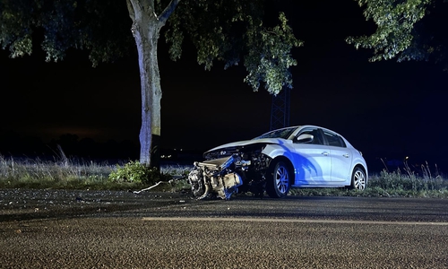 Bei dem Unfall wurde der Motorblock aus dem Auto gerissen.