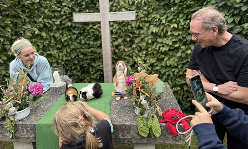 Die Meerschweinchen Jonny und Jimmy ließen sich den Altarschmuck schmecken. 