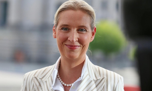 Alice Weidel (Archiv)