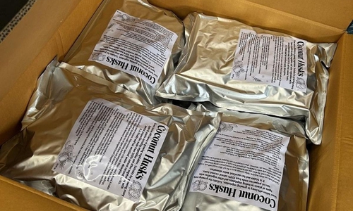 Cannabis in Tarnverpackung (Archiv)