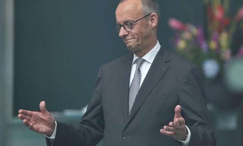 Friedrich Merz (Archiv)