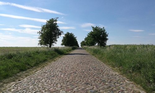 Alleenstraße (Archiv)