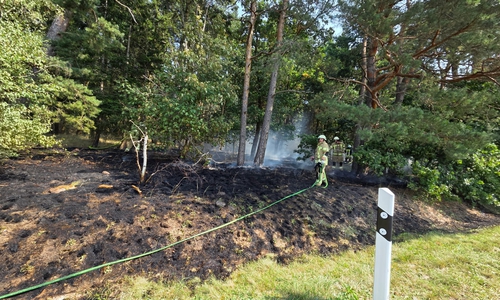 Die Brandstelle erstreckte sich über eine Fläche von etwa 500 Quadratmetern.