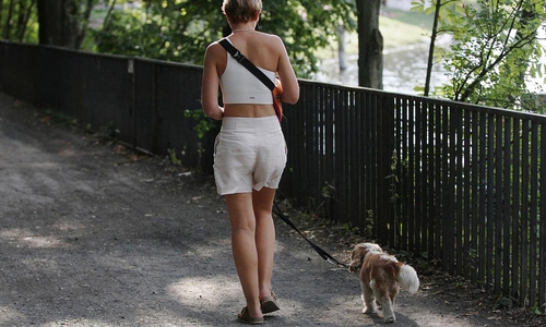 Frau geht Gassi (Archiv)