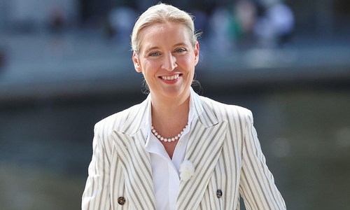 Alice Weidel (Archiv)