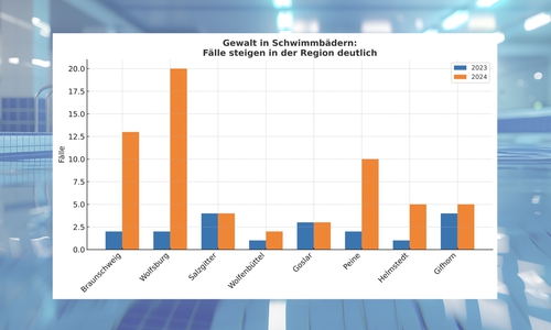Die Gewaltfälle in Bädern der Region sind angestiegen. 