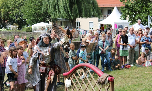 Auch Greifvögel kann man bei den GutsTagen bewundern.