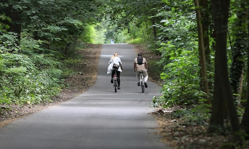 Fahrradfahrer im Wald (Archiv)