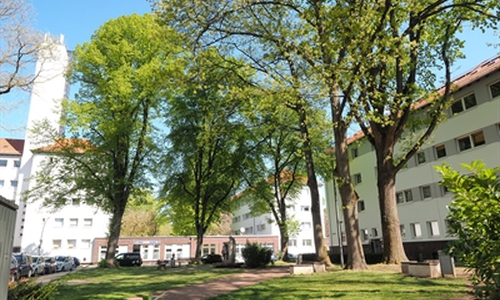 Das Stadtteilfest Bebelhof lädt zum Entdecken und Mitmachen ein.