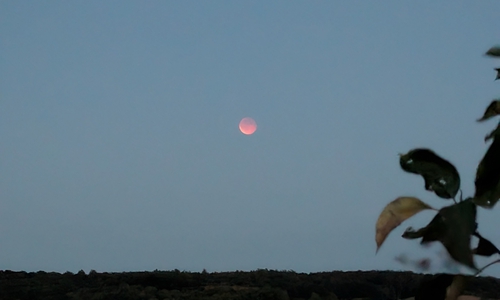 Der Blutmond machte seinem Namen alle Ehre.
