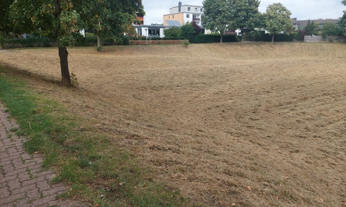 Der gesamte Bereich wurde gründlich abgemäht.