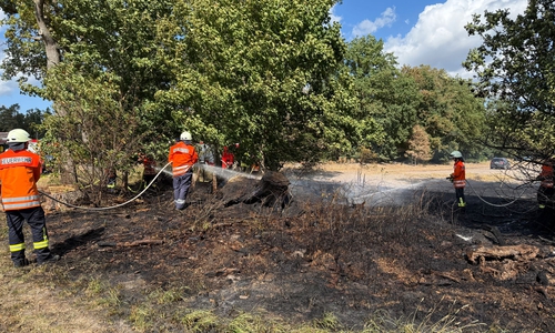 119 Kameraden der Feuerwehr waren im Einsatz.