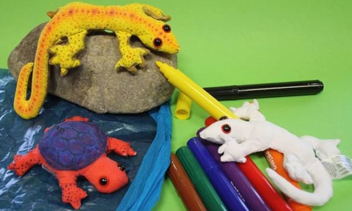 Kinder erwartet ein abwechslungsreiches Programm.