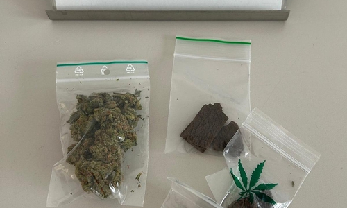 Osnabrücker Zoll stoppt Drogenschmugglerin  (Archiv)