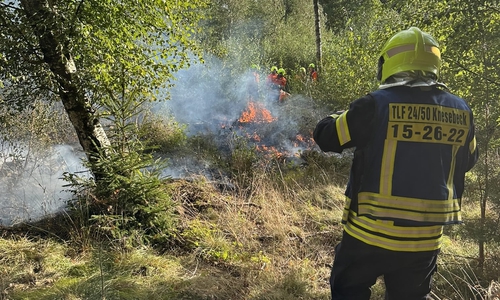 Insgesamt kämpften 35 Einsatzkräfte gegen das Feuer.