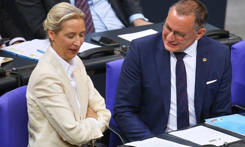 Alice Weidel und Tino Chrupalla (Archiv)