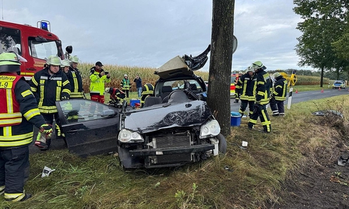 zerstörtes Fahrzeug am Baum (Archiv)