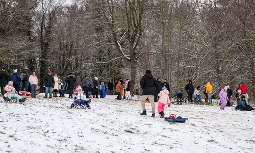 Rodelspaß am Sonntagnachmittag.
