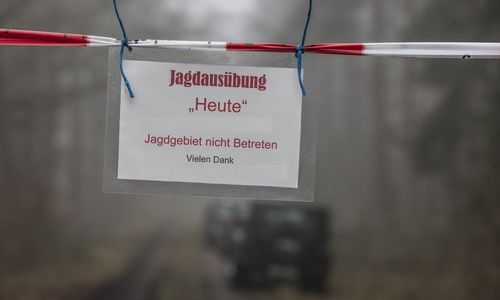 Im Barnbruch wird gejagt: Waldbesucher müssen sich auf Einschränkungen einstellen.