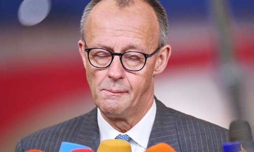 Friedrich Merz (Archiv)