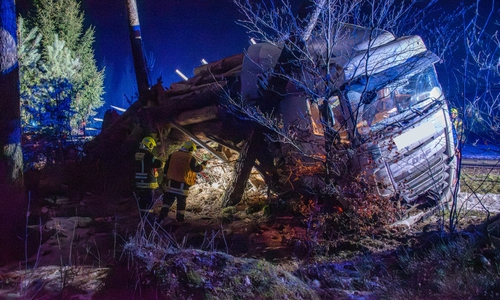  Der mit Holzstämmen beladene 40-Tonner war augenscheinlich von der Fahrbahn abgekommen und anschließend im Seitenraum zum Stehen gekommen. 