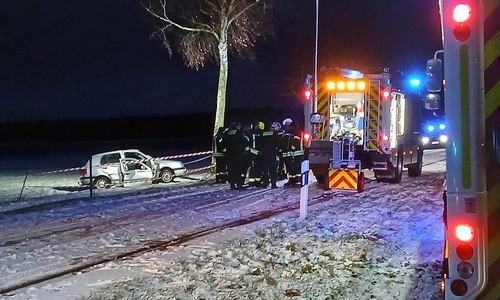 Aus diesem alleinbeteiligt verunfallten PKW rettete die Feuerwehr die Fahrerin und einen Hund.
