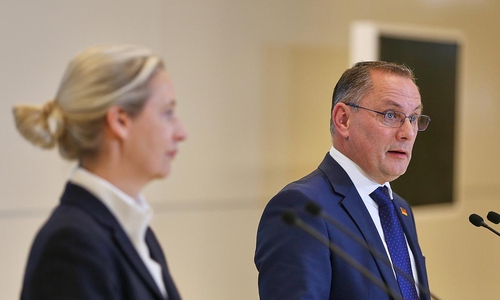 Alice Weidel und Tino Chrupalla (Archiv)